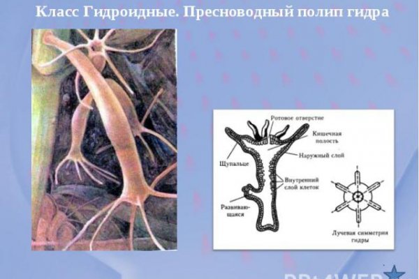 Кракен маркет что