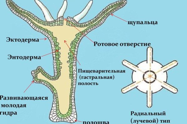 Кракен ссылка маркет