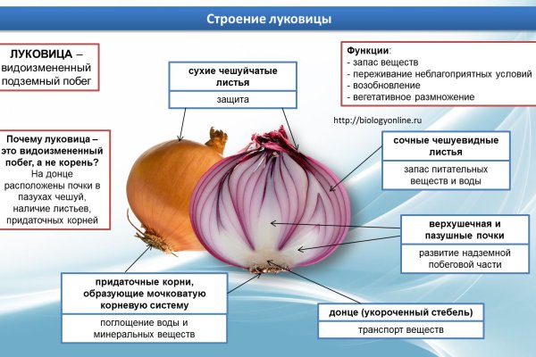 Что с кракеном сайт