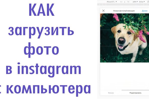 Как пополнить кошелек на кракене даркнет