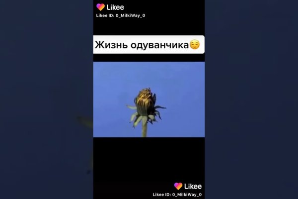 Кракен мага